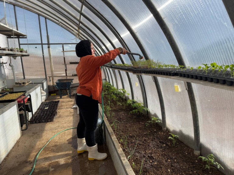 2021f670 22dc 4572 8204 7f638b7af009 compressed 768x576