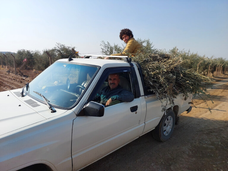 20250116 112853 768x576