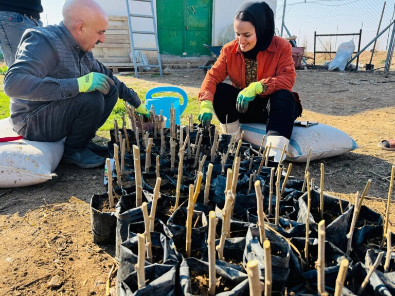 23329c78 c679 428f ab17 0f3a9e3cb3ea compressed 768x576