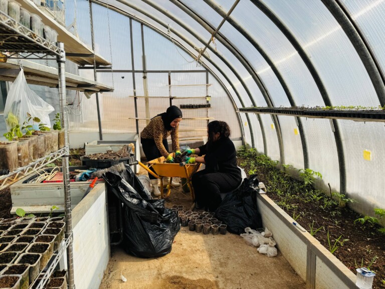 3421783b 7b0c 46e9 9b7b 16558737617b compressed 768x576