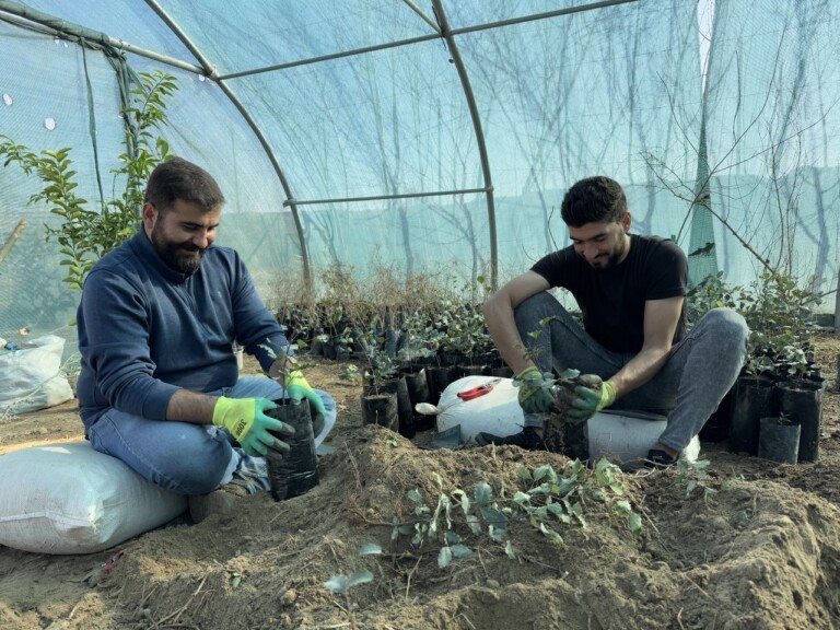 5258306913098130654 768x576