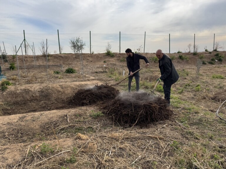 5258306913098130655 768x576