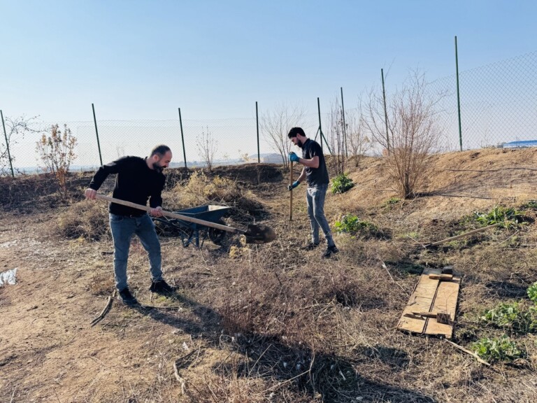 5258306913098130656 768x576