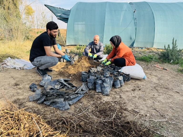 5258306913098130659 768x576