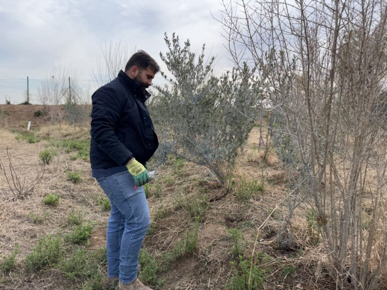 5258306913098130686 768x576