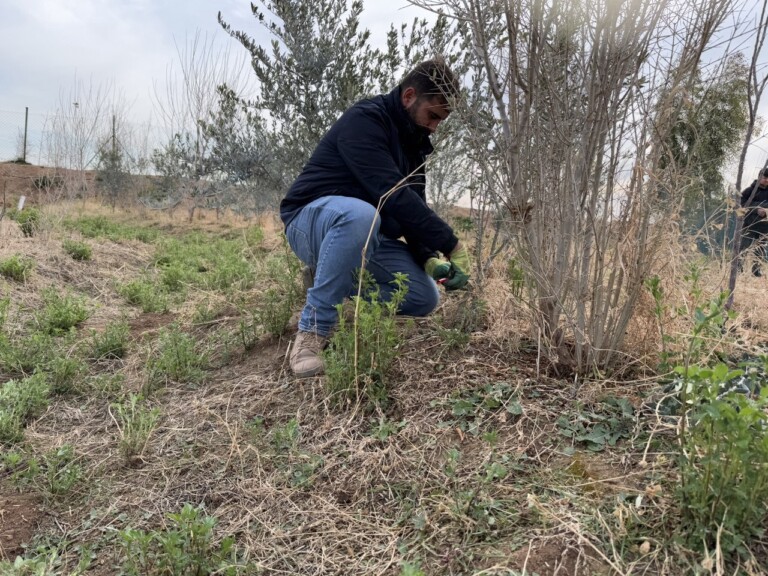 5258306913098130687 768x576