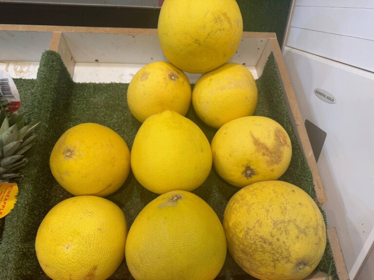 5264807157122069663 768x576