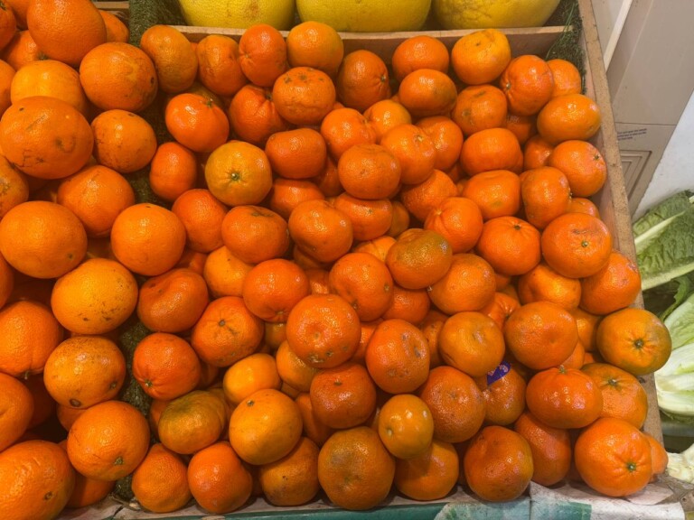 5264807157122069664 768x576