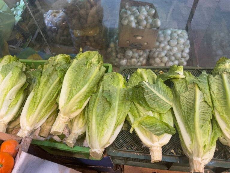 5264807157122069668 768x576