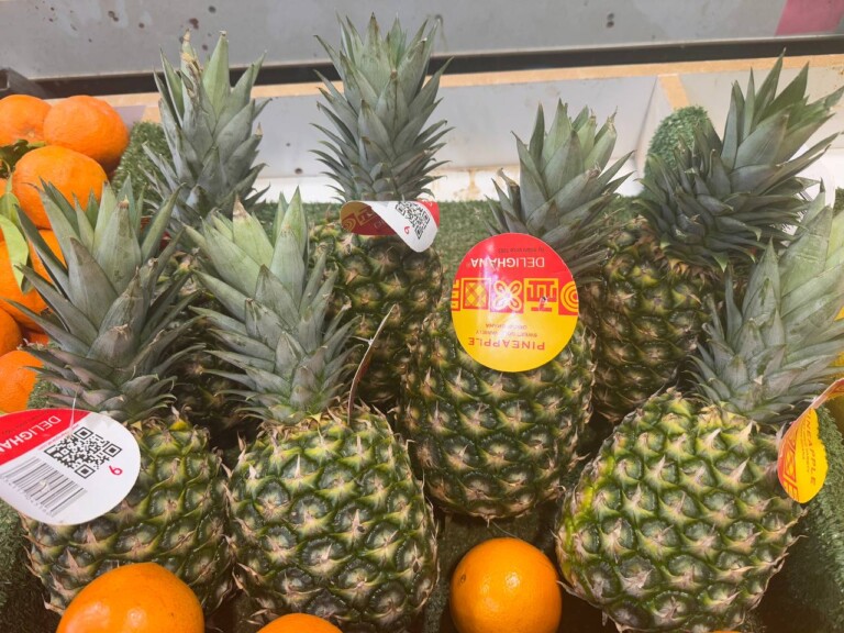 5264807157122069669 768x576