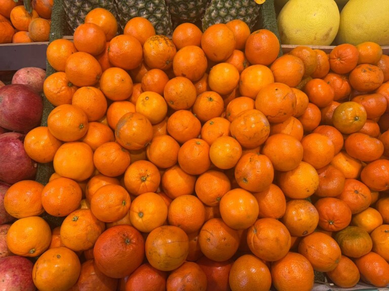 5264807157122069670 768x576