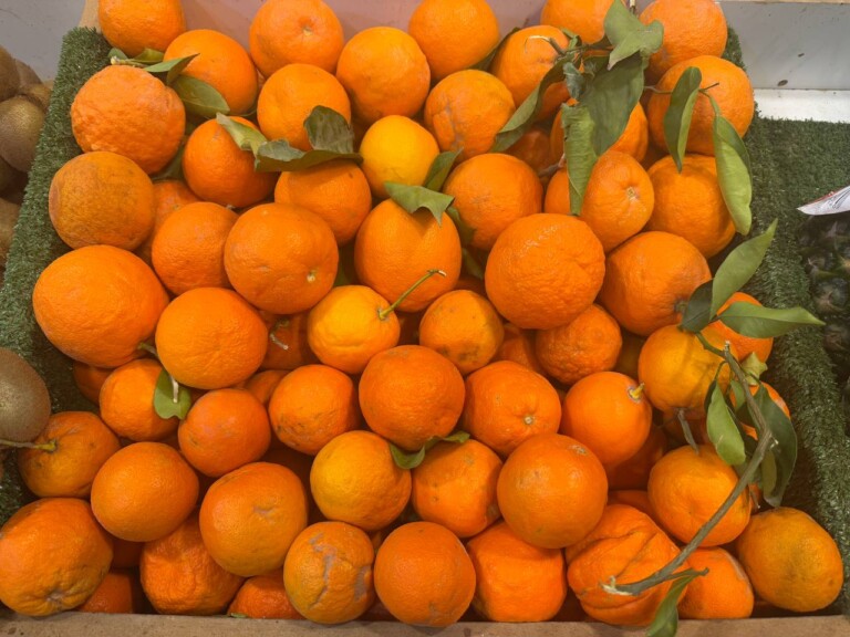 5264807157122069672 768x576