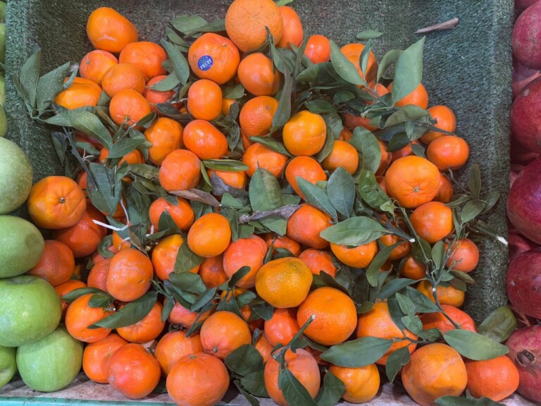 5264807157122069673 768x576