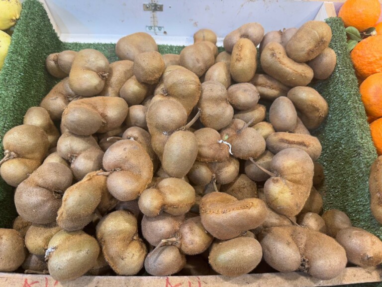 5264807157122069675 768x576