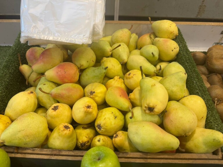 5264807157122069677 768x576