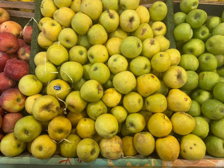 5264807157122069678 768x576