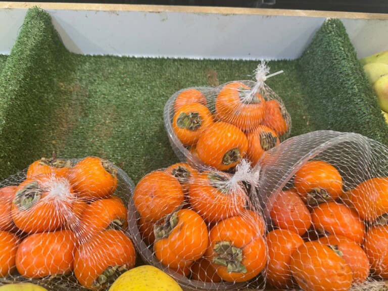 5264807157122069679 768x576