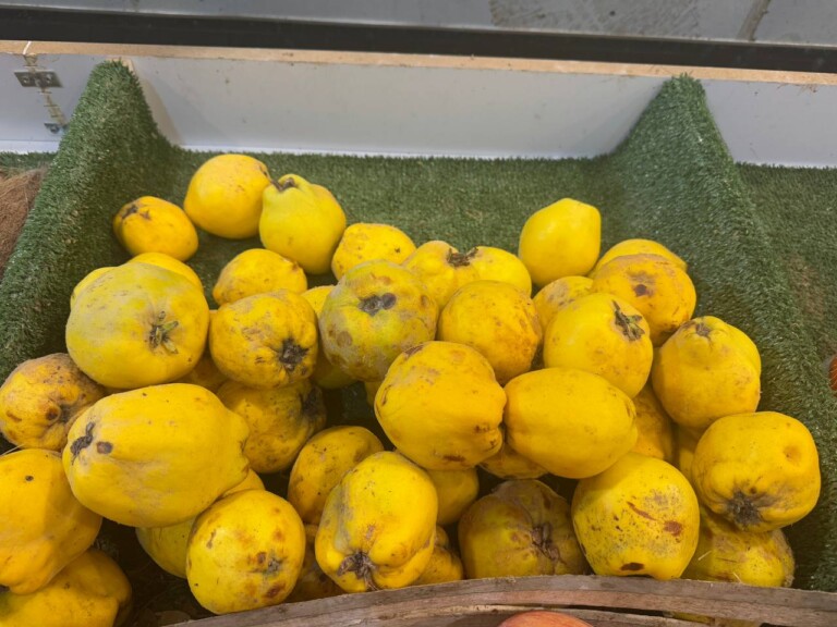 5264807157122069681 768x576