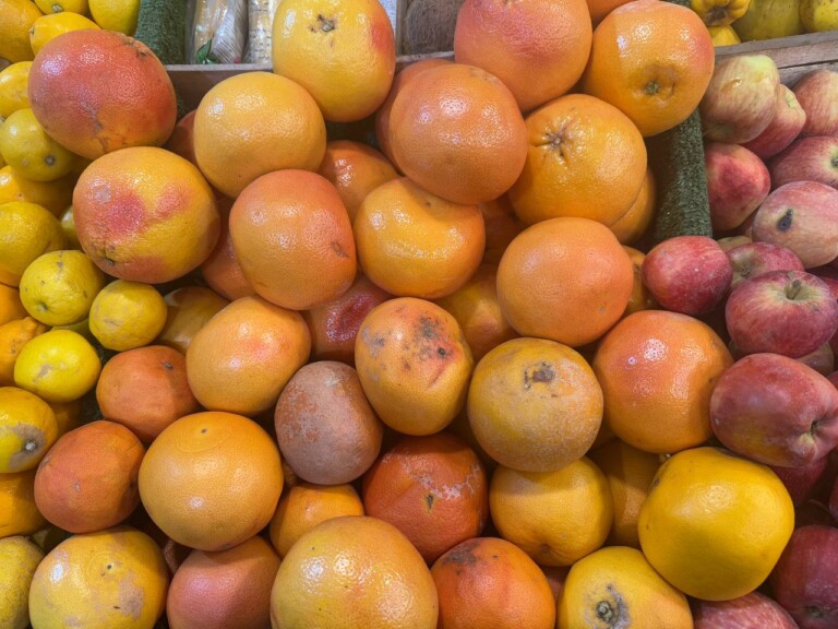 5264807157122069683 768x576