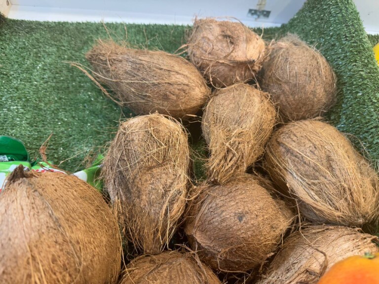 5264807157122069684 768x576