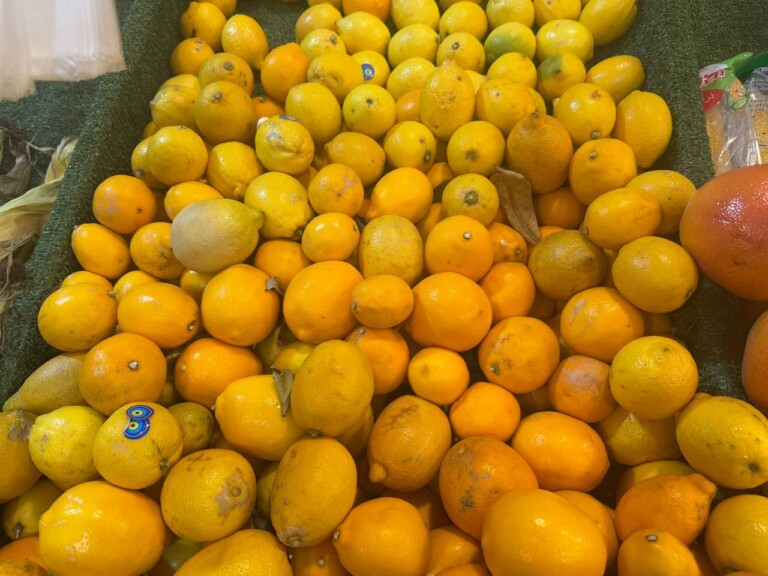 5264807157122069687 768x576