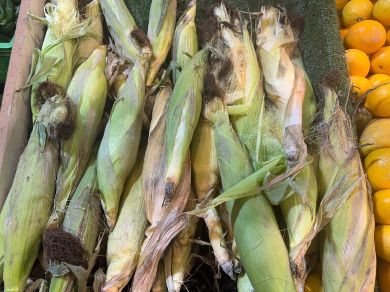 5264807157122069688 768x576