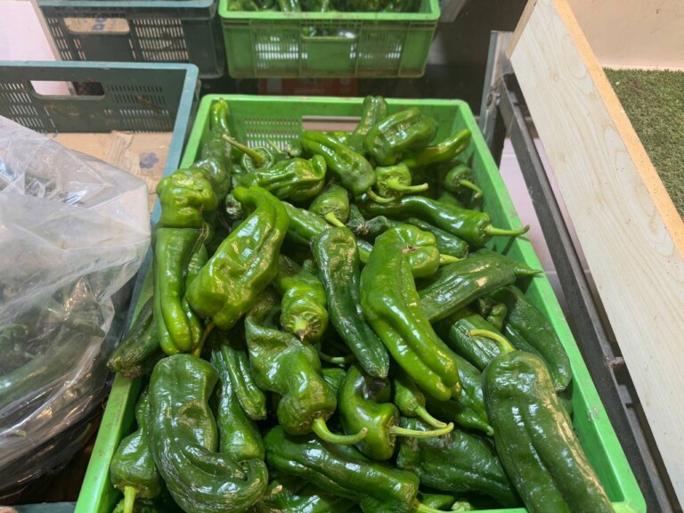 5264807157122069689 768x576