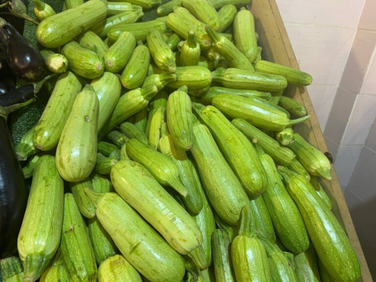 5264807157122069692 768x576