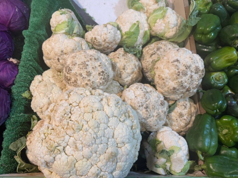 5264807157122069696 768x576