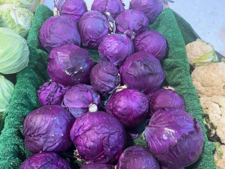 5264807157122069697 768x576