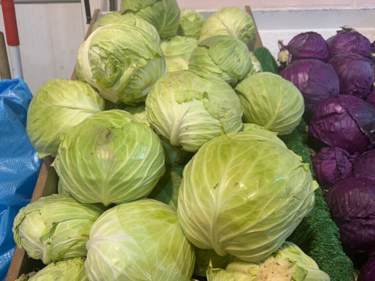 5264807157122069698 768x576