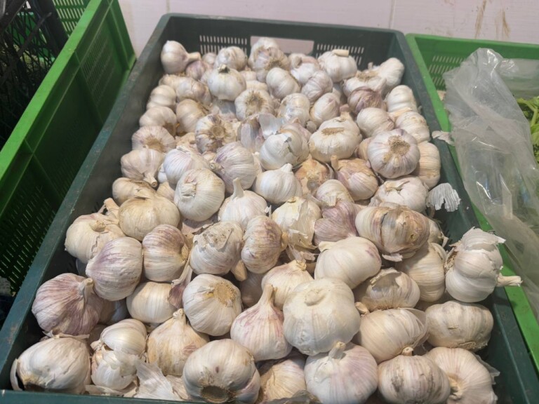 5264807157122069700 768x576