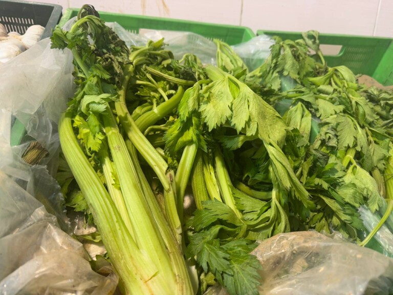 5264807157122069701 768x576