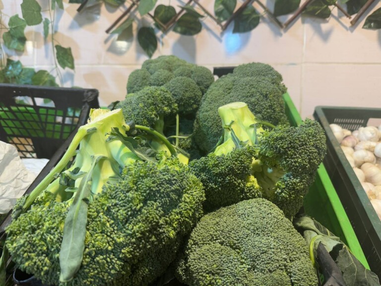 5264807157122069702 768x576