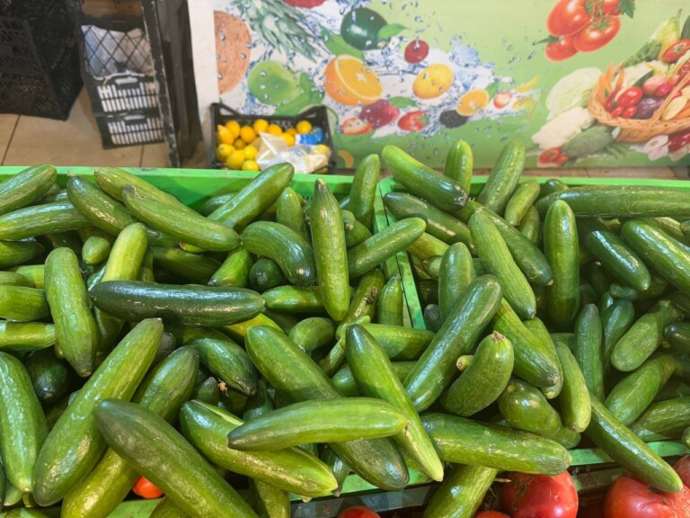 5264807157122069706 768x576