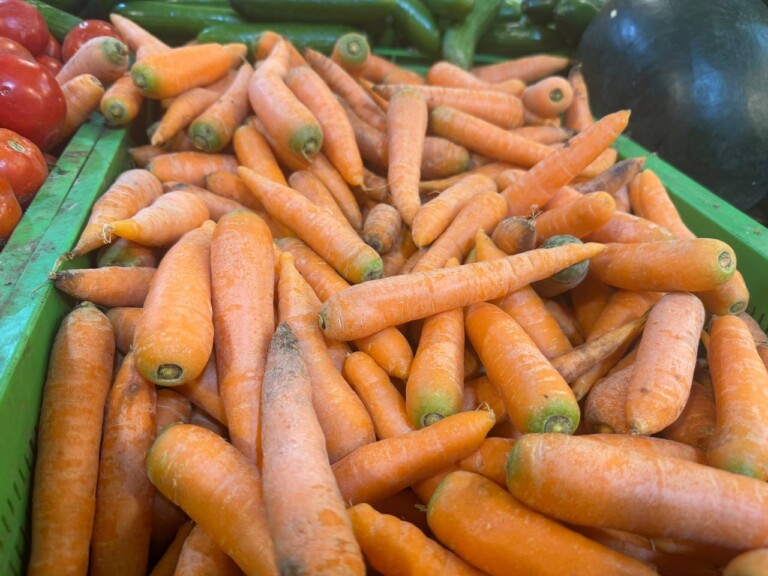 5264807157122069707 768x576