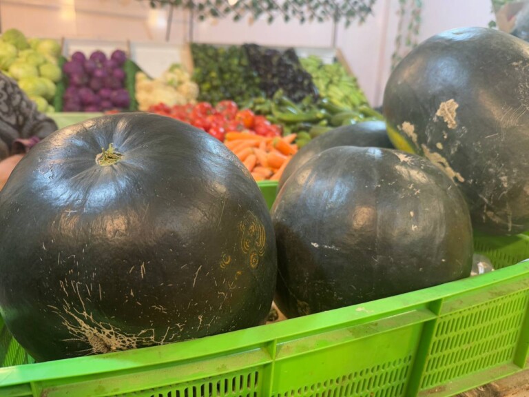 5264807157122069708 768x576