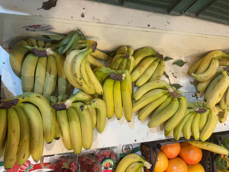 5264807157122069709 768x576