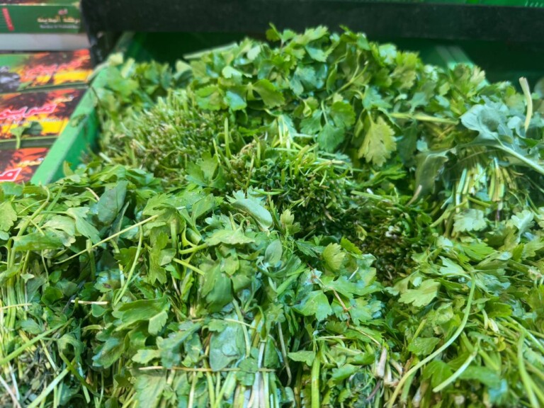 5264807157122069716 768x576