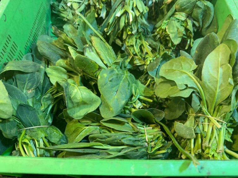 5264807157122069717 768x576