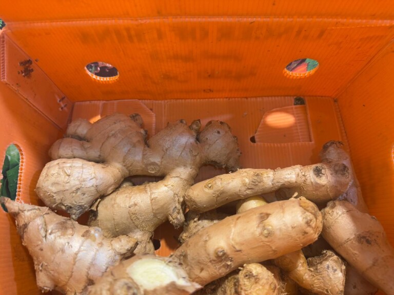 5264807157122069720 768x576