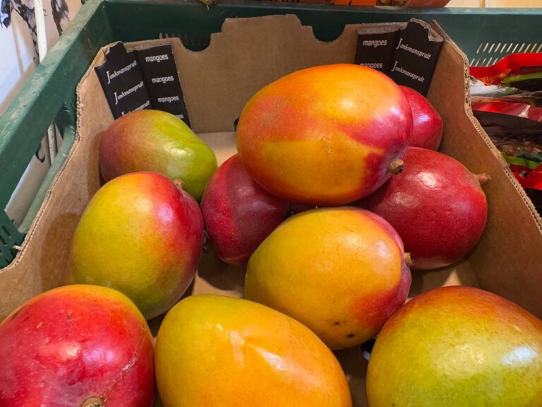 5264807157122069721 768x576