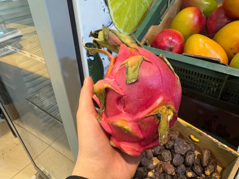 5264807157122069722 768x576