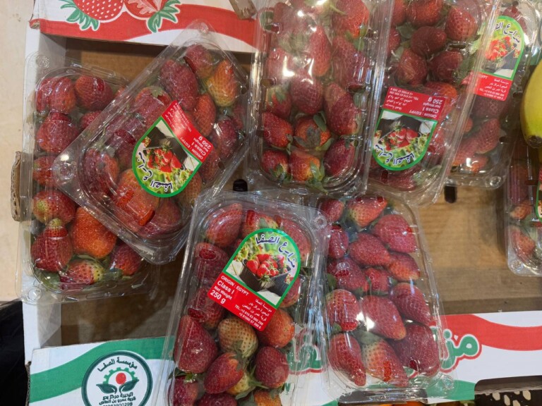 5264807157122069723 768x576