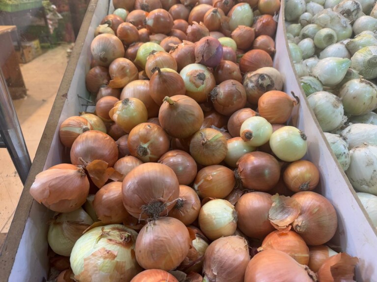 5264807157122069725 768x576