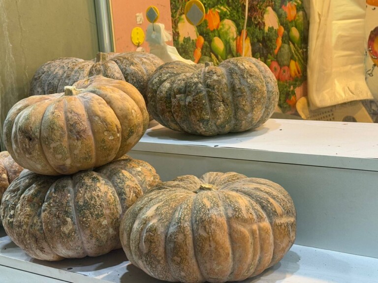 5264807157122069726 768x576