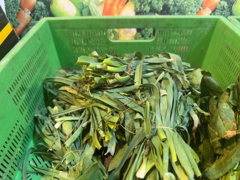 5264807157122069729 768x576