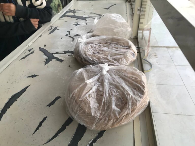 5267044298212369468 768x576