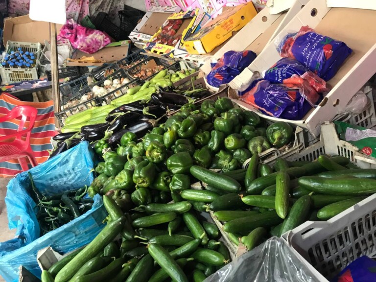 5267044298212369470 768x576