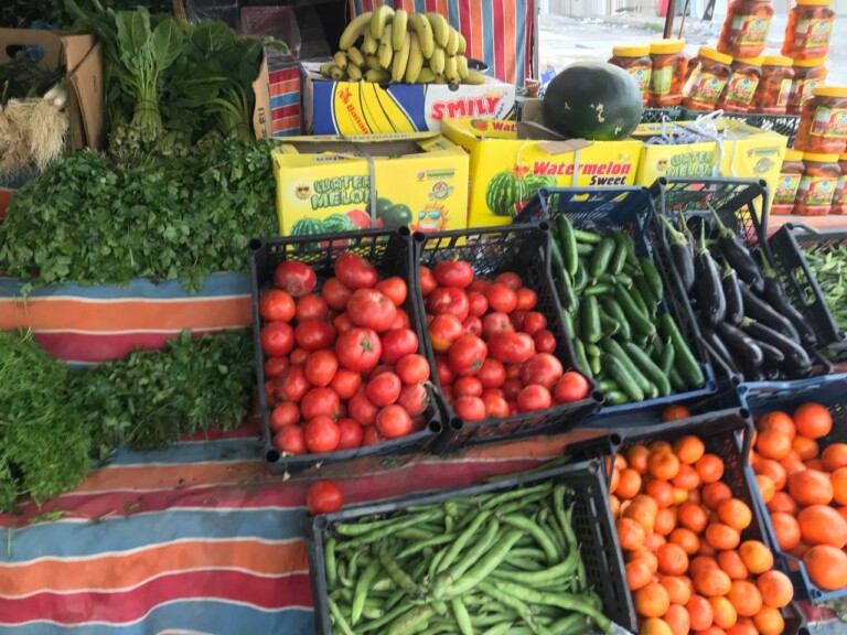 5267044298212369474 768x576